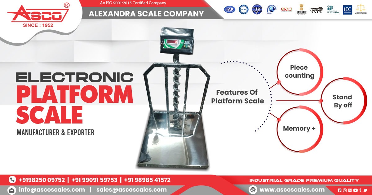 Supplier of Electronic Platform Scale in Gujarat