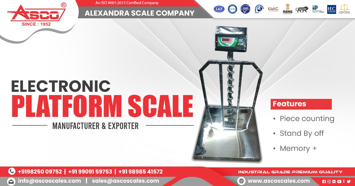 Electronic Platform Scale in Gujarat