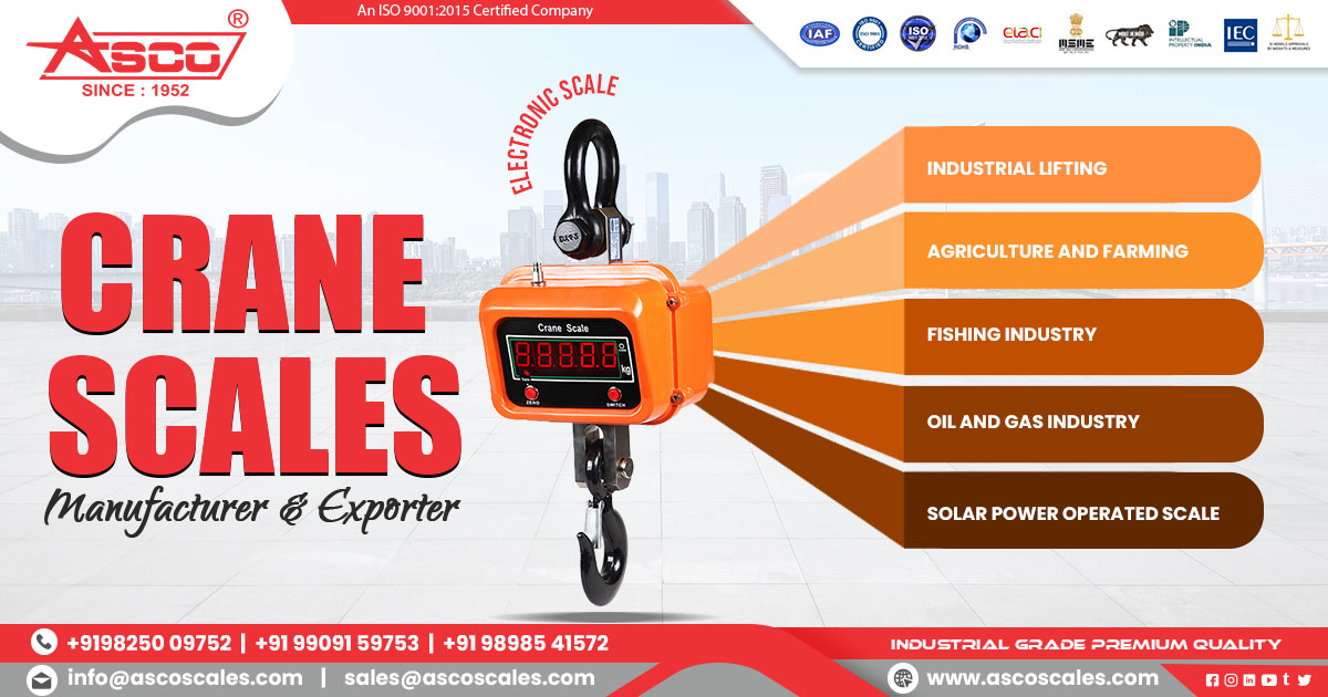 Exporter of Crane Scales in Tanzania